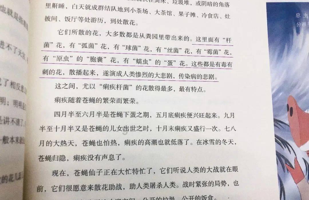 敏捷的白球